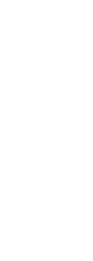 animation arrow